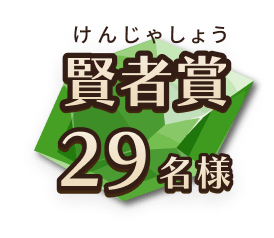賢者賞29名様