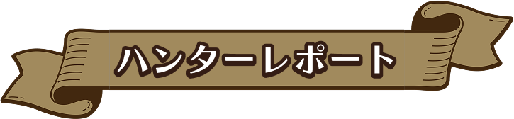 ハンターレポート