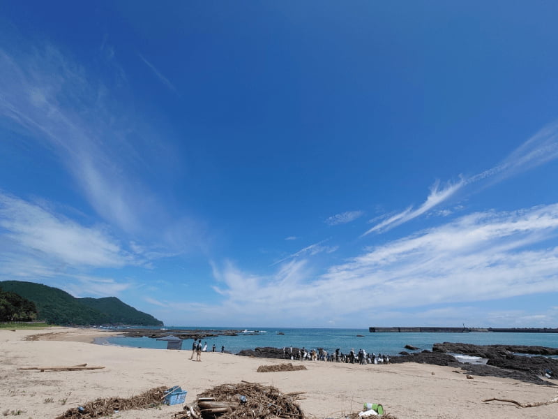 ウミガメもいた黒潮町の砂浜の景色